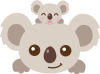 koala1